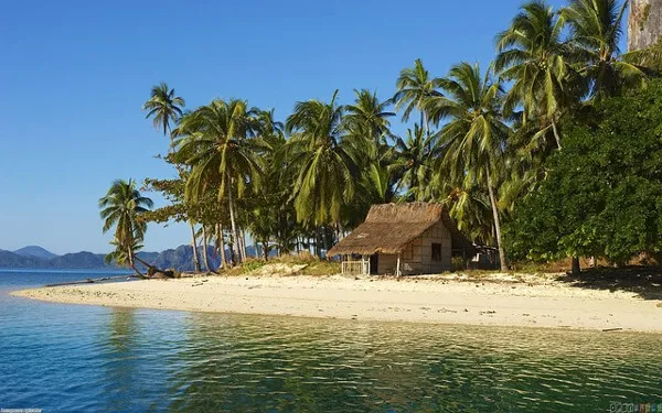 Nipa hut