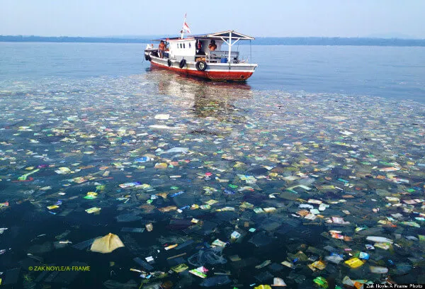 Pollution